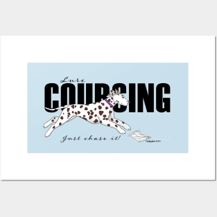 Dalmatian Lure Coursing liver Posters and Art